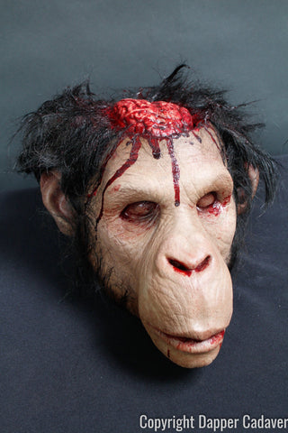 Monkey Brains Head