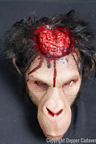 Monkey Brains Head