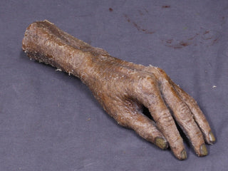 Mummified Withered Hands