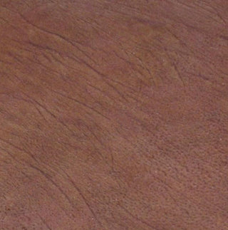Flexible Human Skin Prop 12 inch Square