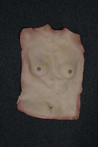 Dura Female Human Torso Skin