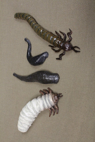 Leech and Parasite Set of 4