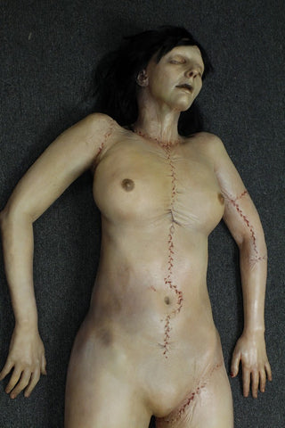 Dura Meredith Cadaver Body