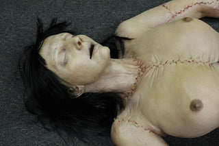 Dura Meredith Cadaver Body