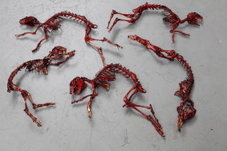 Meaty Rabbit Skeleton