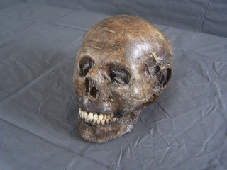 Mummified Remy Skull