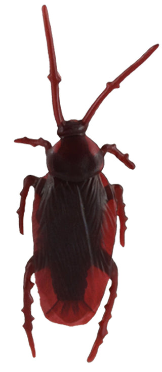 Fake Roach Set