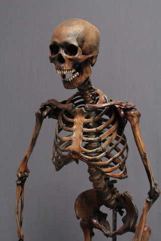 Crime Scene Skeleton