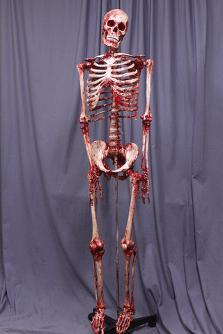 Bloody Skeleton