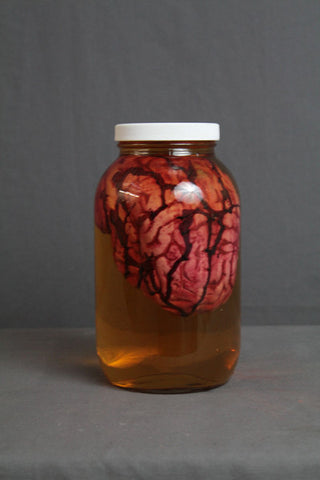 Medium Human Brain Prop in a Large Specimen Jar