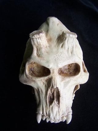 Chupacabra Skull