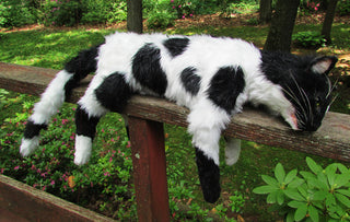 Cow Cat Prop - Special Order