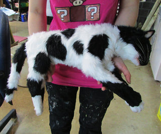 Cow Cat Prop - Special Order