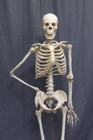 Crime Scene Skeleton
