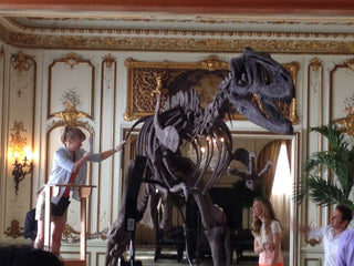 28 FT Tyrannosaurus Skeleton Rental