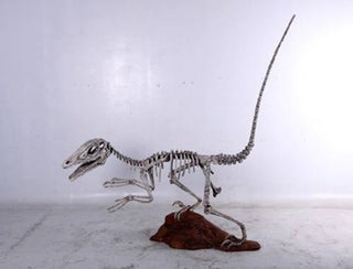 10 Ft Long Raptor Skeleton Rental