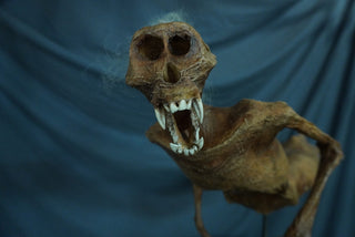 3 Ft. Feejee Mermaid