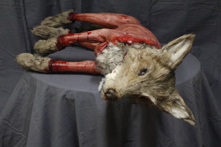 Field Skinned Coyote