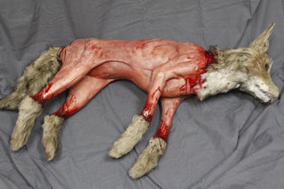 Field Skinned Coyote