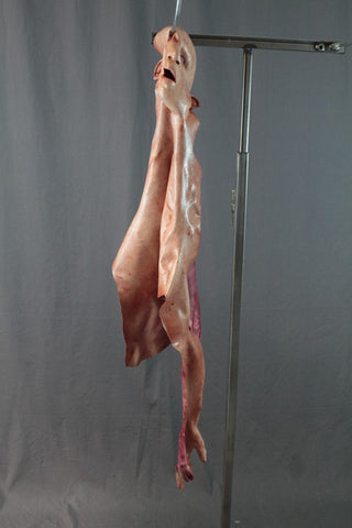 Flayed Half Man