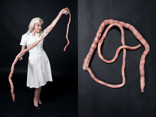 8ft Flex Intestines