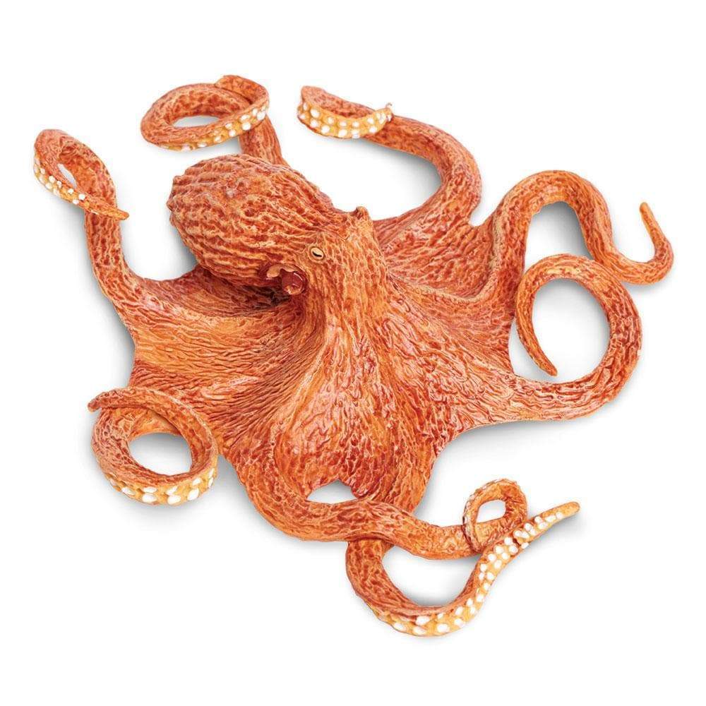 Realistic Rubber Octopus – Dapper Cadaver Props