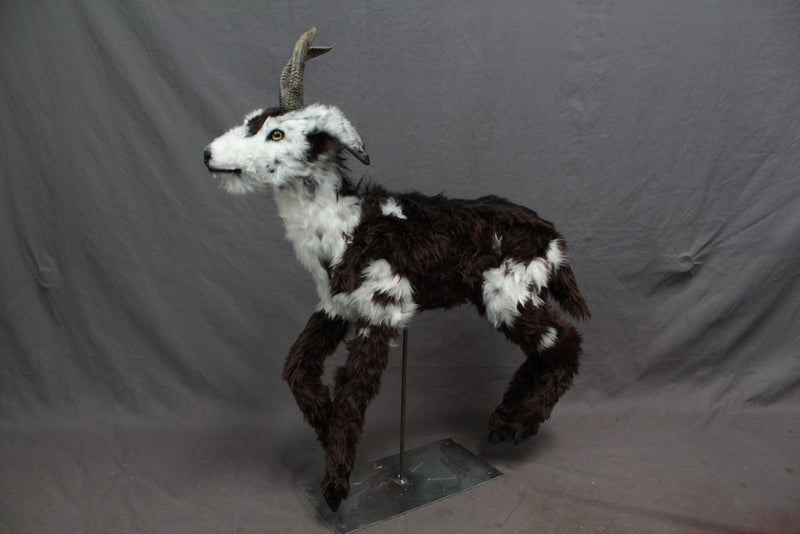 Realistic Goat Prop - Special Order – Dapper Cadaver Props