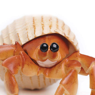 Realistic Rubber Hermit Crab