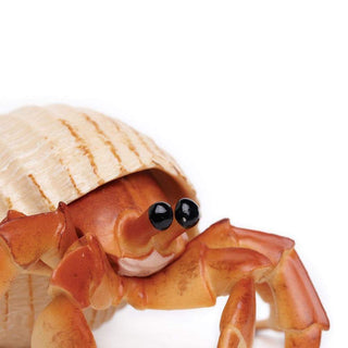 Realistic Rubber Hermit Crab