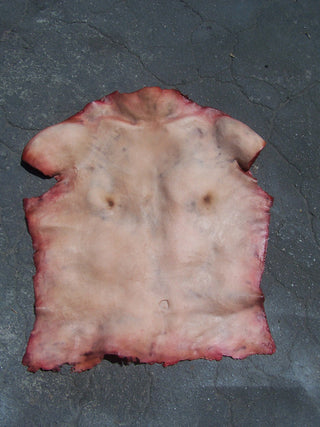 Human Torso Skin