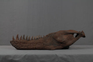 Stunt Tarbosaurus Jawbone Rental