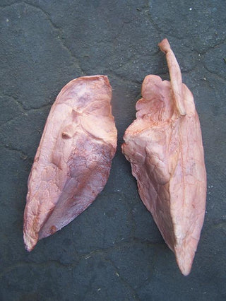 Lungs Pair, large