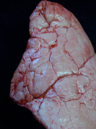Lungs Pair, large