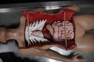 Autopsy Lucy with Removable Skull Cap and Brain
