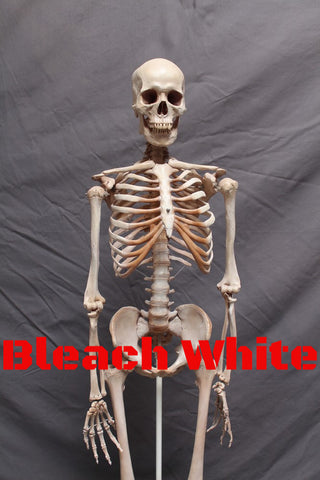 Bleach White