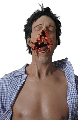 Smashed Face Martin Half Anatomical Dummy