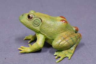 Realistic Rubber Frog