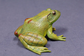 Realistic Rubber Frog