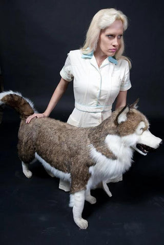 Husky Dog Prop