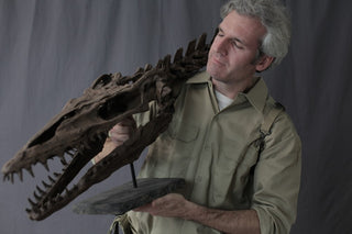 Mosasaur Skull