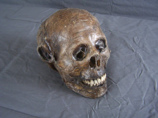Mummified Remy Skull