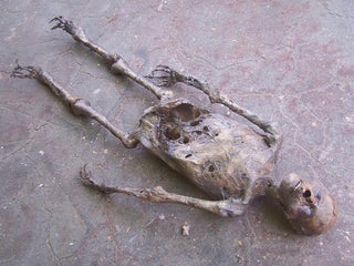 Mummy Jack