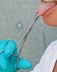 Piercing Forceps