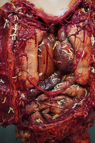 Maggot Infested Autopsy Olly Photo Op