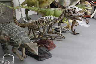 10 Ft Long Raptor Skeleton Rental