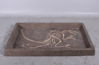 Raptor Skeleton Dig Box Rental