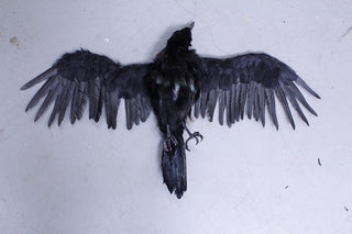 Replica Dead Crow Prop