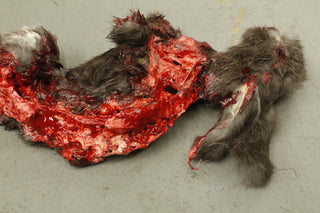 Roadkill Rabbit Prop