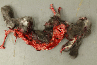 Roadkill Rabbit Prop