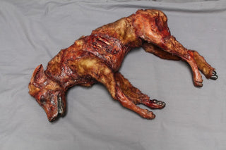 Rotten Rocky, The Decayed Dog